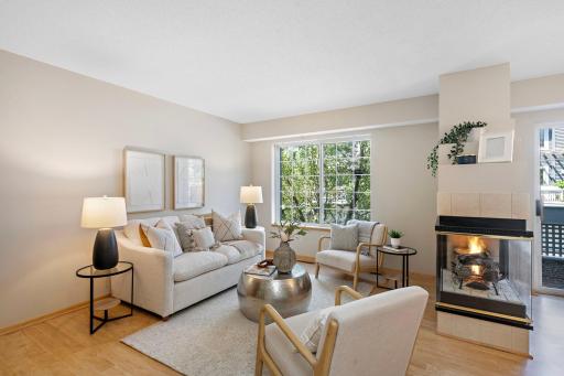 Light, bright, and cozy living area. 15625 24th Ave N Unit G, Plymouth, MN 55447