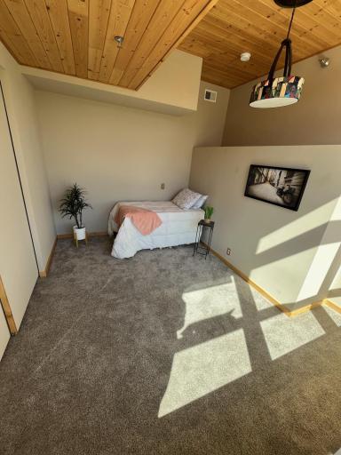 Photo for 201 Ridgeview Lane, 201, Lanesboro, MN 55949 - Listing #6703766 201 Ridgeview Lane, 201, Lanesboro, MN 55949
