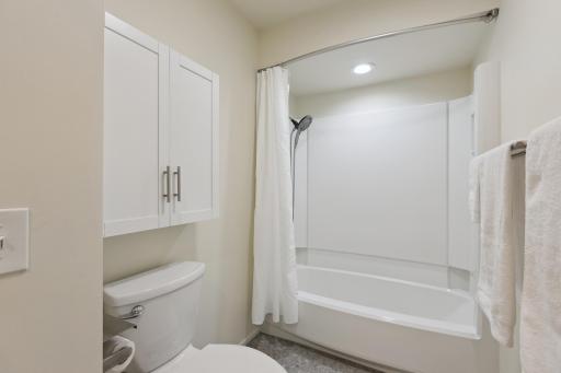 2887 Lake Shore Avenue, Maple Plain, MN 55359