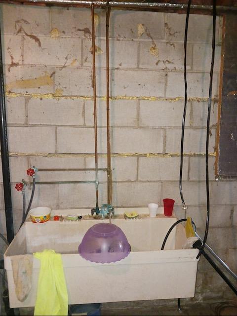 Resized_20250415_145849.JPEG