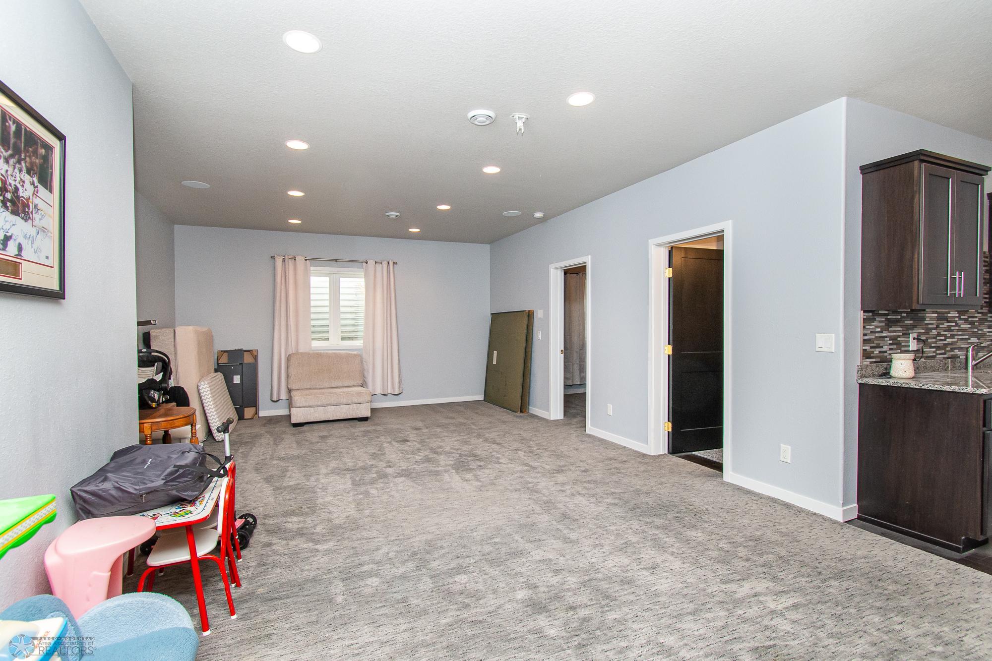 Basement Family Room