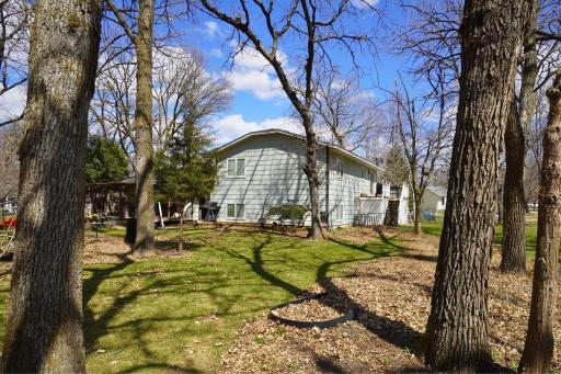 131 Euclid Court, Big Lake, MN 55309