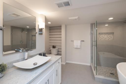 Lower level bath with separate tub and shower