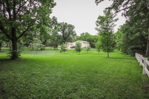 Spacious Backyard!