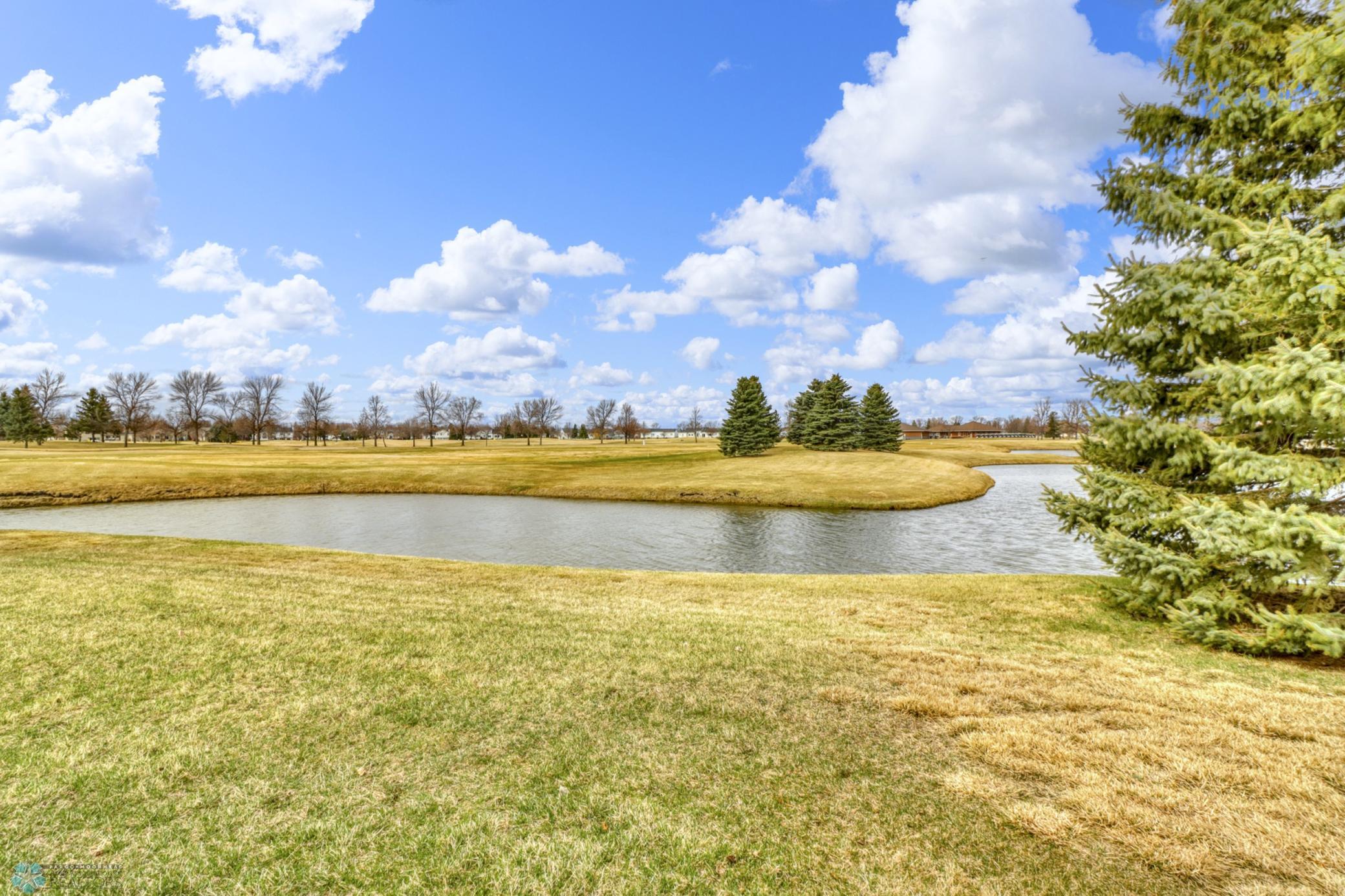 Backyard_golfcourse.JPG