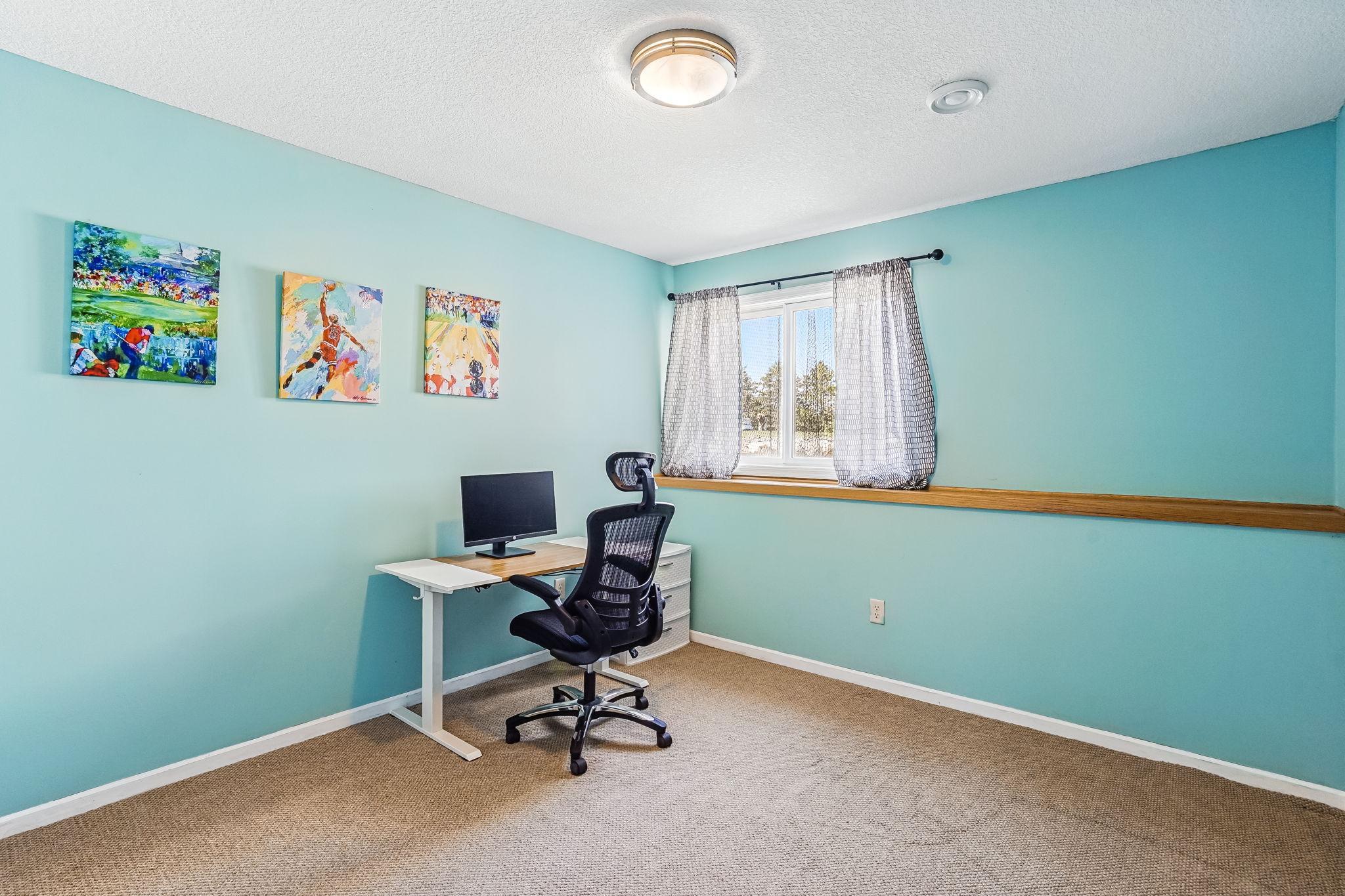 Lower level bedroom / office