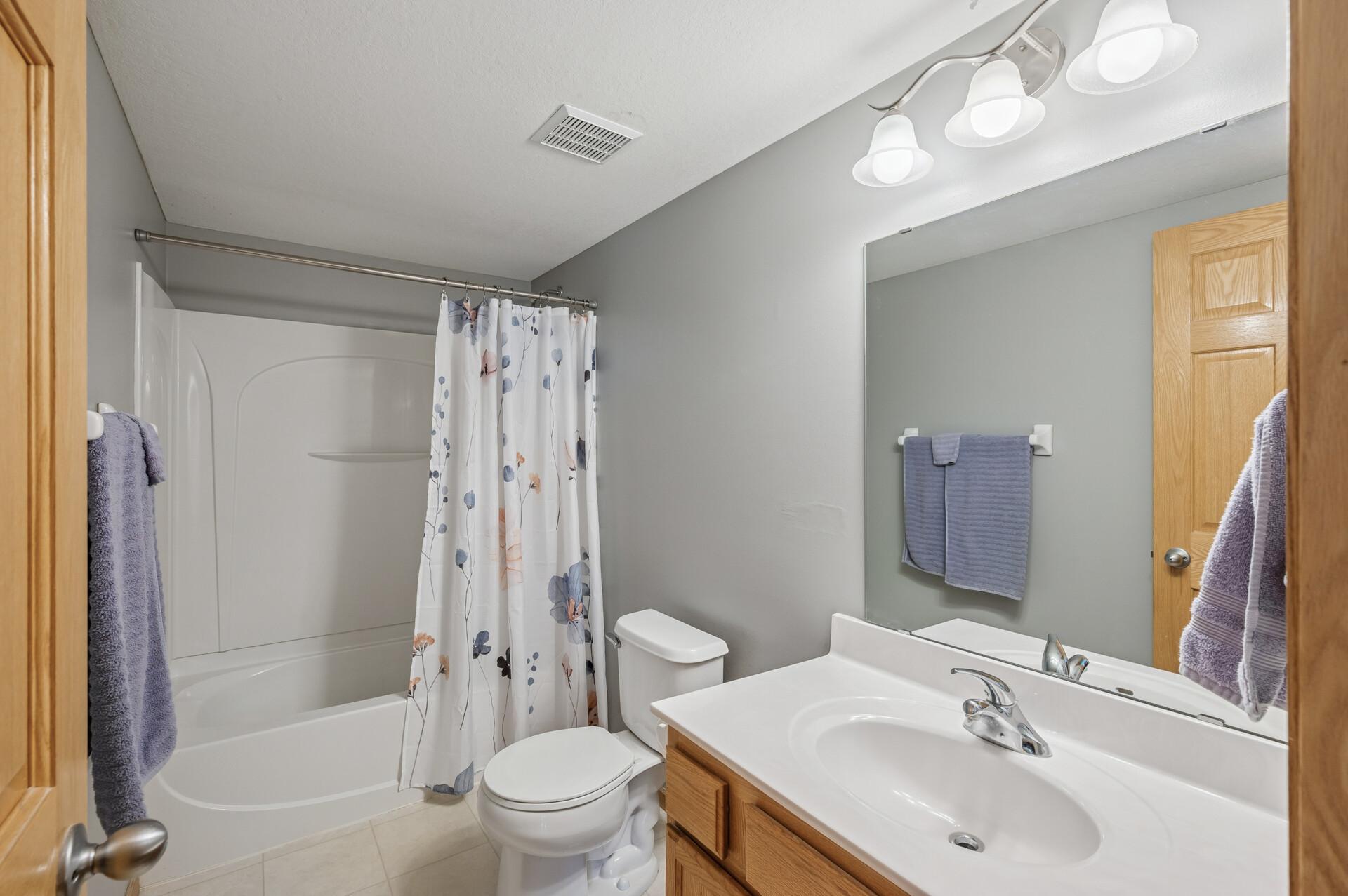 Lower Level Hallway Bathroom