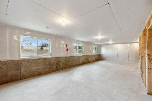 3943 Founders Path, Chaska, MN 55318
