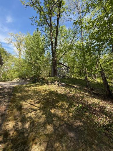 25006 Great Pine Drive, Nevis, MN 56467