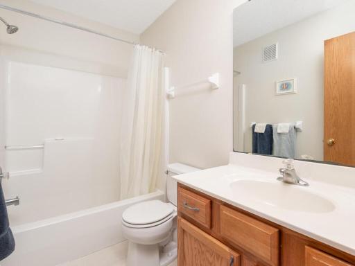 810 Gilfillan Ave Carver MN Upper Level Full Bath