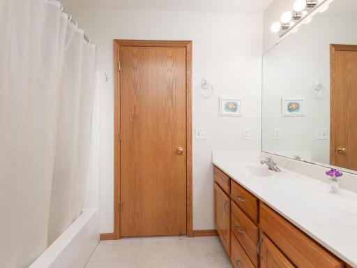 810 Gilfillan Ave Carver MN Primary Full Bath