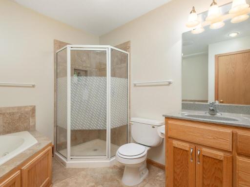 Lower level full bath with walk-in shower & jetted tub.