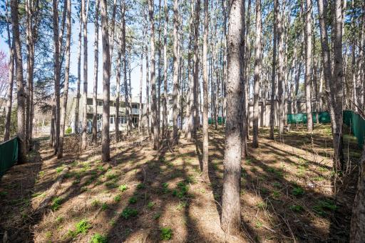 9711 Tree Farm Road, Eden Prairie, MN 55347