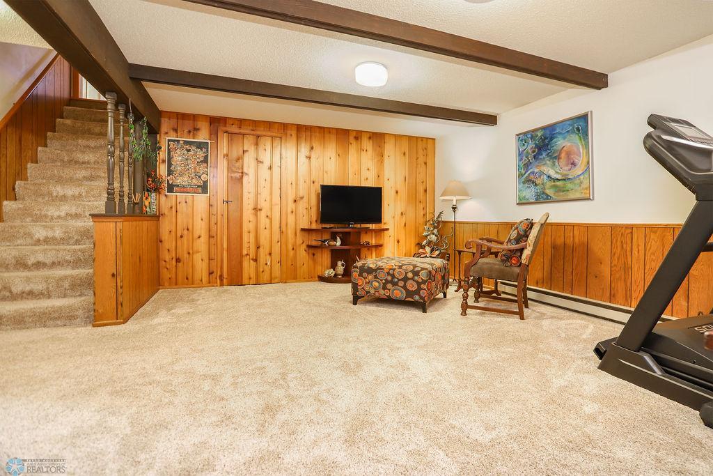 Basement family room