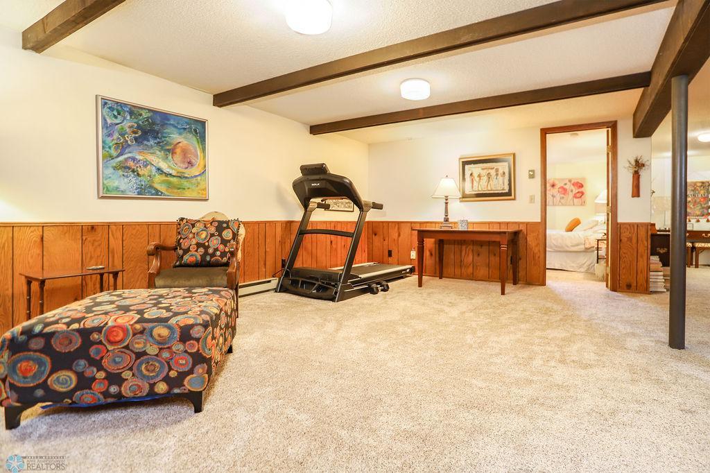 Basement family room
