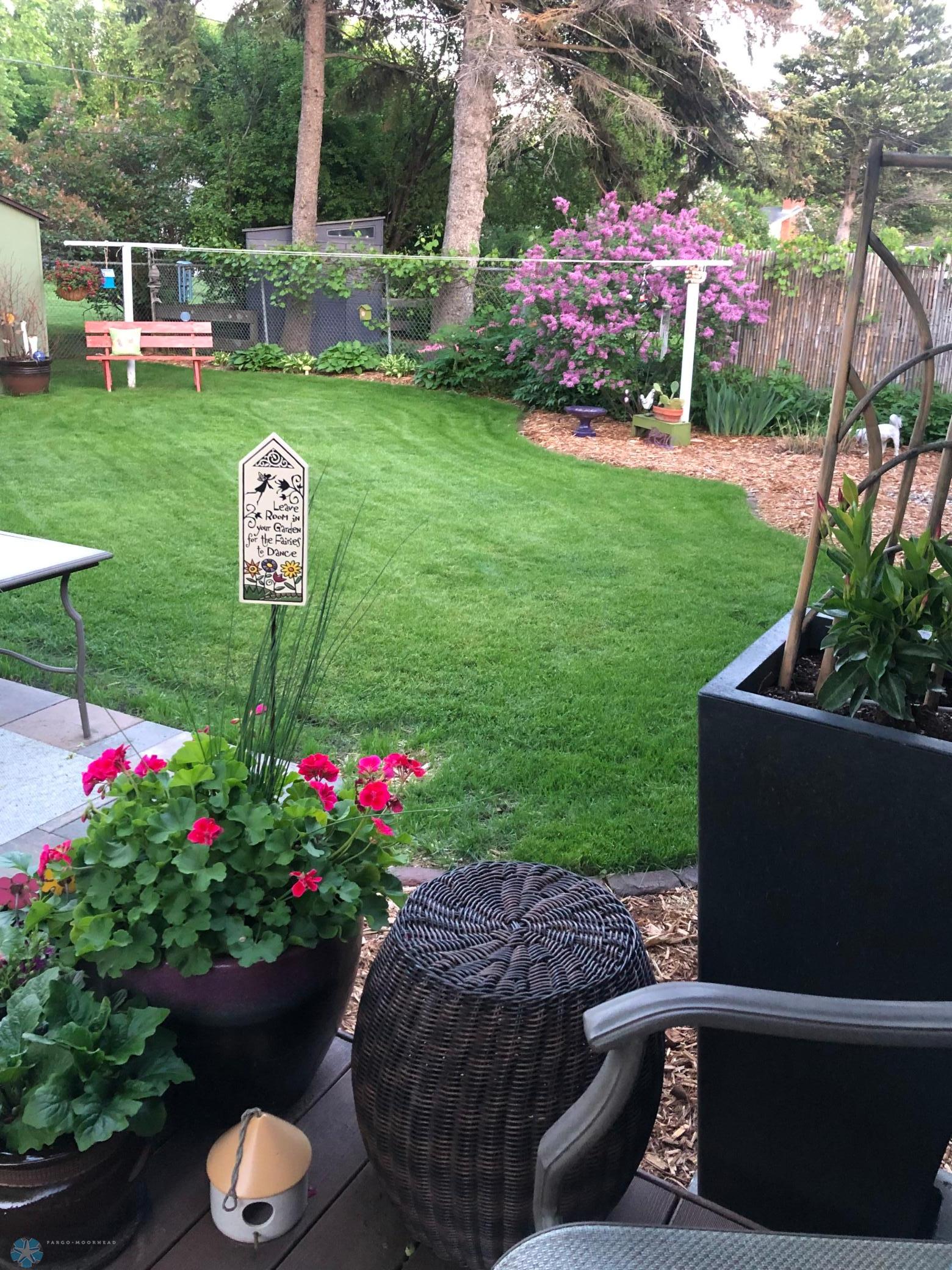 The yard in full bloom
