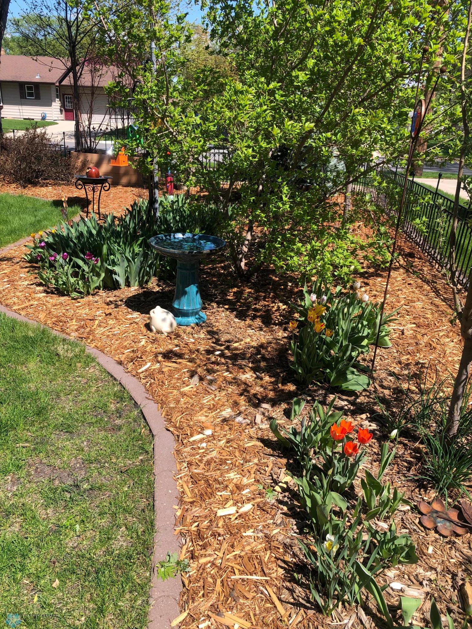 Many gorgeous perennials throughout