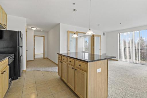1502 5th Street N, 401, Hopkins, MN 55305