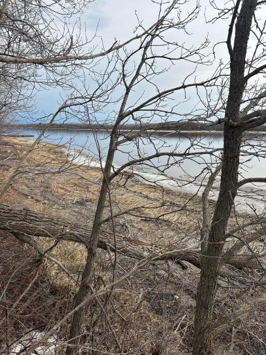 Photo for TBD Maple Drive NW, Baudette, MN 56623 - Listing #6705297 TBD Maple Drive NW, Baudette, MN 56623