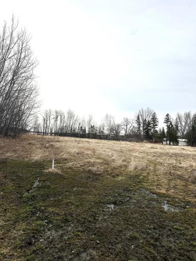TBD Maple Drive NW, Baudette, MN 56623