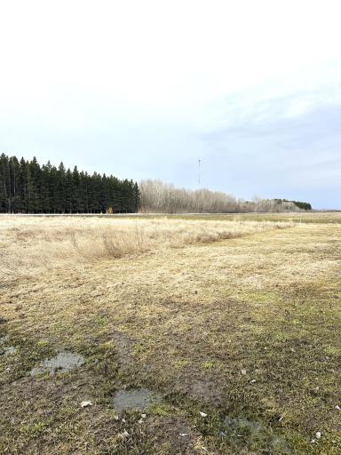 TBD Maple Drive NW, Baudette, MN 56623