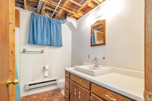 lower level bath just beyond the flex room