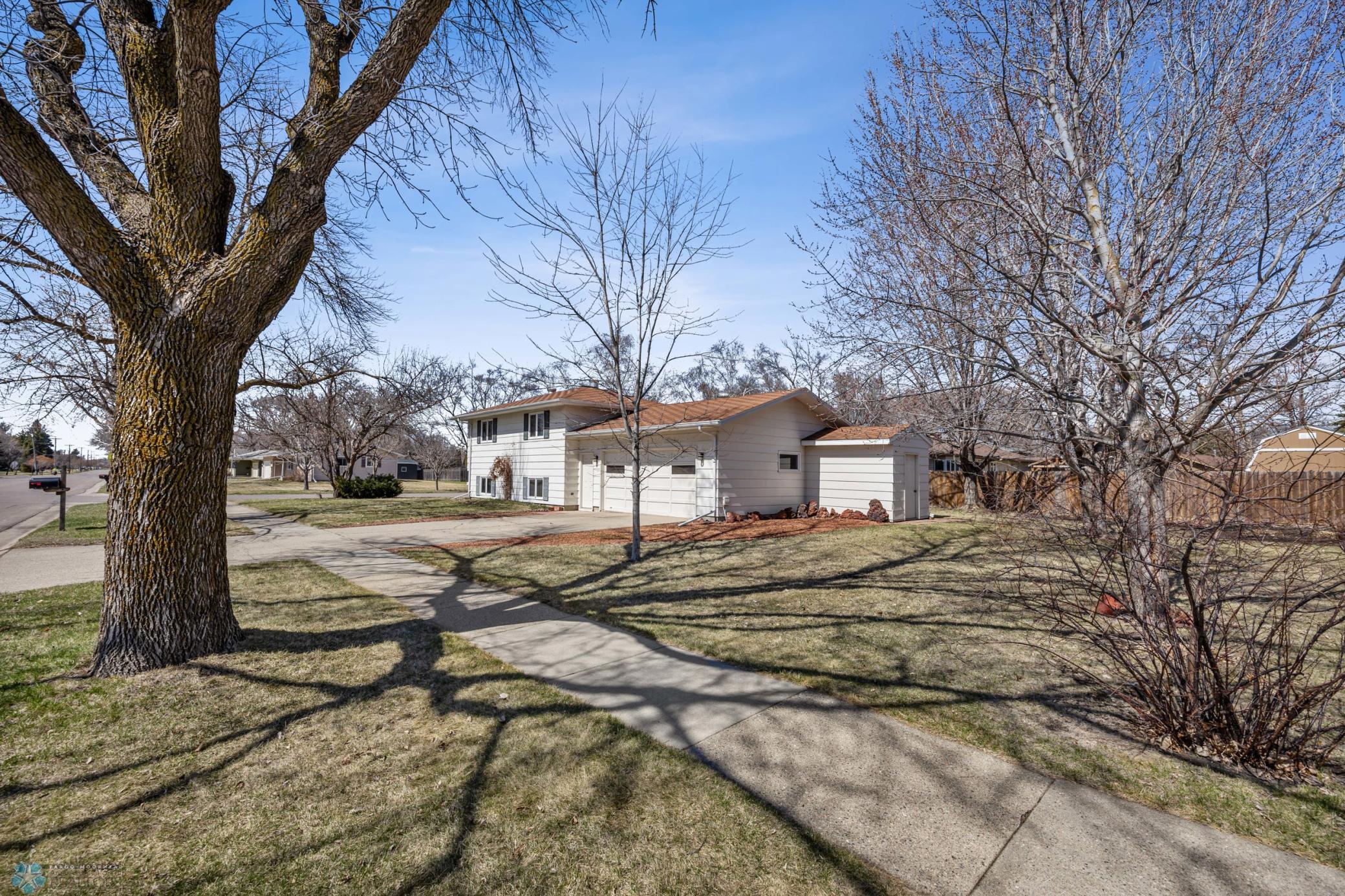 Back & Side Yard