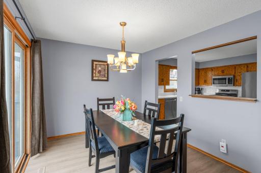 17043 Frazer Path, Farmington, MN 55024