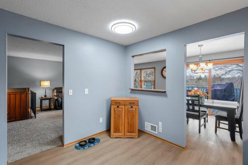 17043 Frazer Path, Farmington, MN 55024