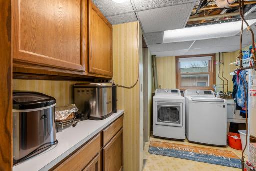 17043 Frazer Path, Farmington, MN 55024