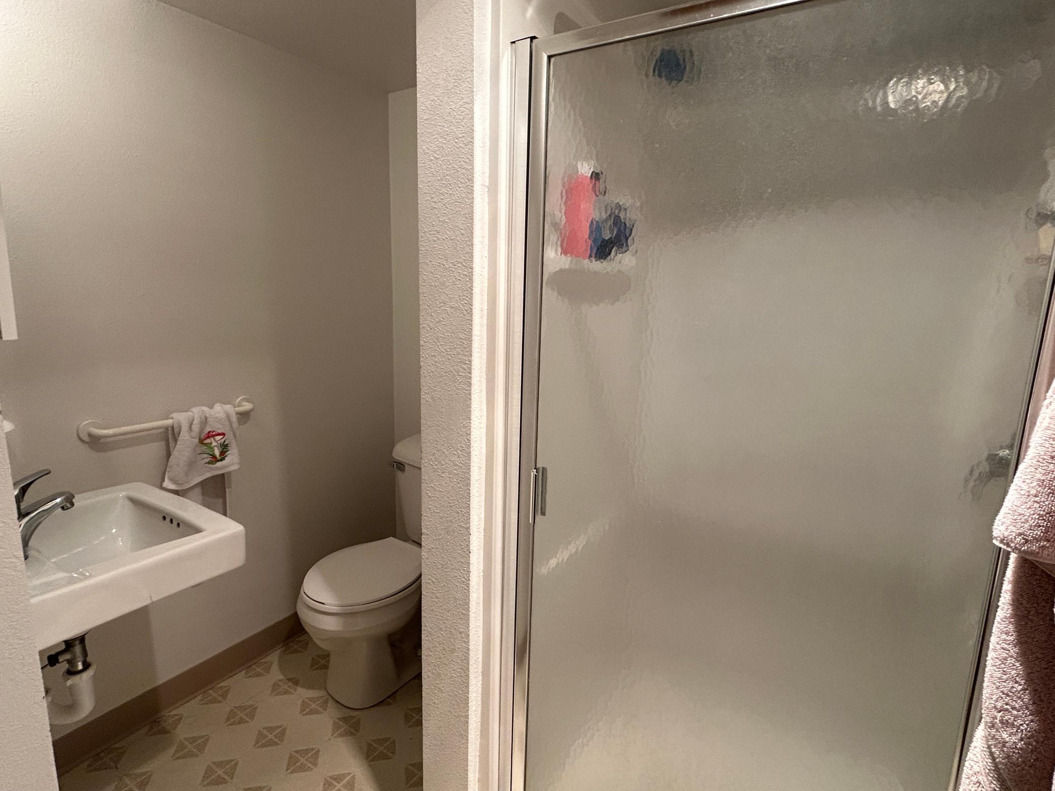 Lower Level Bath.JPG