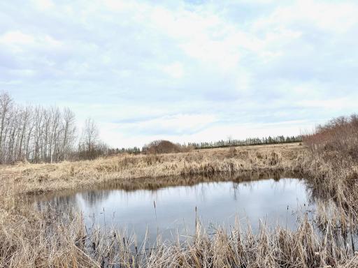 Photo for 22701 State Highway 89, Roseau, MN 56751 - Listing #6705735 22701 State Highway 89, Roseau, MN 56751