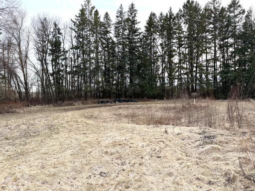 Photo for 22701 State Highway 89, Roseau, MN 56751 - Listing #6705735 22701 State Highway 89, Roseau, MN 56751