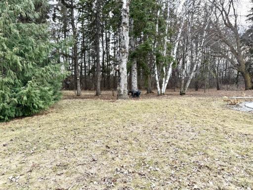 Photo for 22701 State Highway 89, Roseau, MN 56751 - Listing #6705735 22701 State Highway 89, Roseau, MN 56751