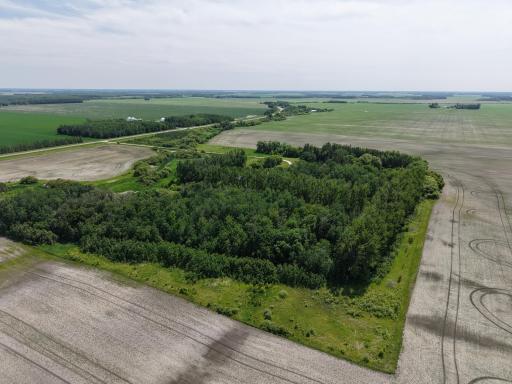 Photo for 22701 State Highway 89, Roseau, MN 56751 - Listing #6705735 dji_fly_20250614_135916_0017_1750251007940_photo.jpeg