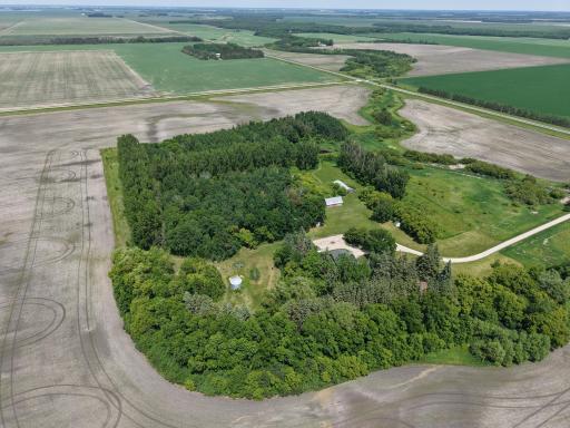 Photo for 22701 State Highway 89, Roseau, MN 56751 - Listing #6705735 dji_fly_20250614_135756_0009_1750250698067_photo.jpeg