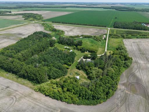 Photo for 22701 State Highway 89, Roseau, MN 56751 - Listing #6705735 dji_fly_20250614_135808_0010_1750250700084_photo.jpeg