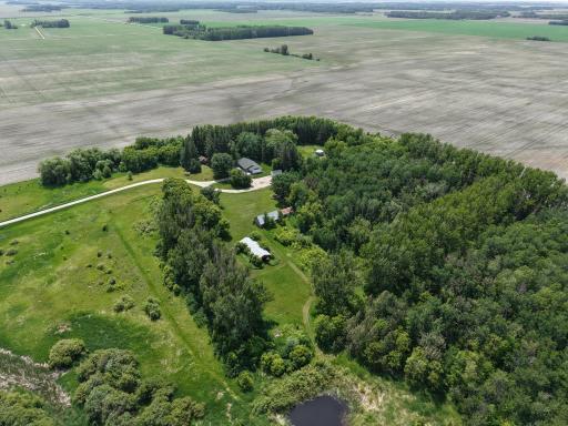 Photo for 22701 State Highway 89, Roseau, MN 56751 - Listing #6705735 dji_fly_20250614_140010_0022_1750251005895_photo.jpeg
