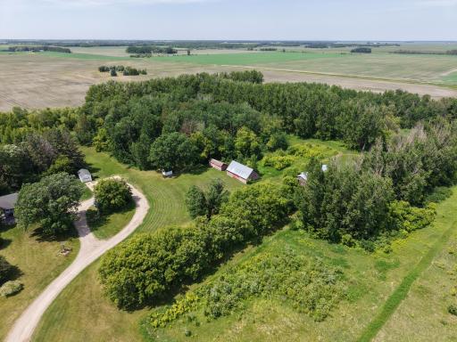 Photo for 22701 State Highway 89, Roseau, MN 56751 - Listing #6705735 dji_fly_20250614_140124_0026_1750251003853_photo.jpeg