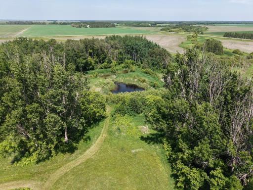 Photo for 22701 State Highway 89, Roseau, MN 56751 - Listing #6705735 dji_fly_20250614_140508_0034_1750250999997_photo.jpeg