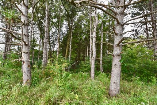 14840 Nason Hill Road N, Marine On Saint Croix, MN 55047