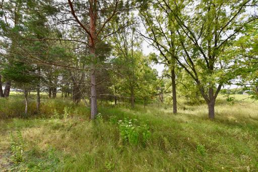 14840 Nason Hill Road N, Marine On Saint Croix, MN 55047