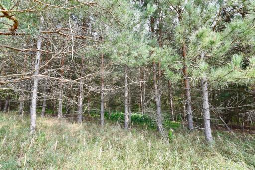 14840 Nason Hill Road N, Marine On Saint Croix, MN 55047