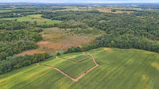 Diverse landscape of tillable land, mature woods, established ATV trails, and rolling hills