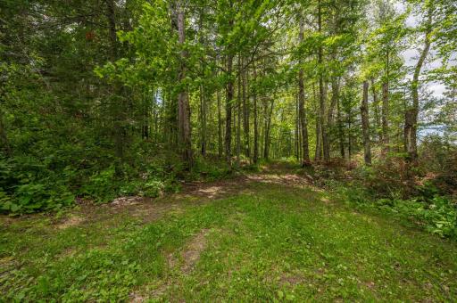 Walking Trails