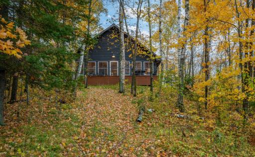 Pretty Fall Picture