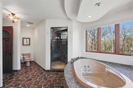 30 Willow Woods Drive, Excelsior, MN 55331
