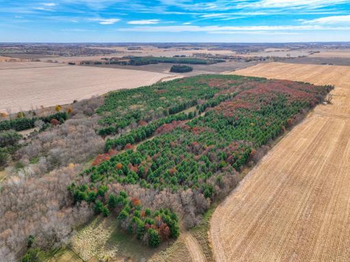 xxx Lot #6 110th Avenue, Hammond, WI 54015