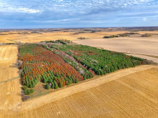 xxx Lot #6 110th Avenue, Hammond, WI 54015