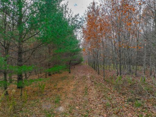 xxx Lot #6 110th Avenue, Hammond, WI 54015